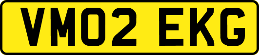 VM02EKG