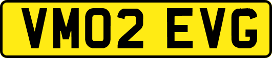VM02EVG