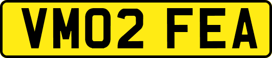 VM02FEA