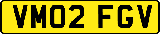 VM02FGV
