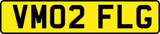 VM02FLG