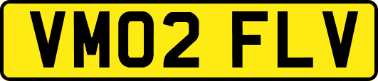 VM02FLV