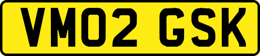 VM02GSK