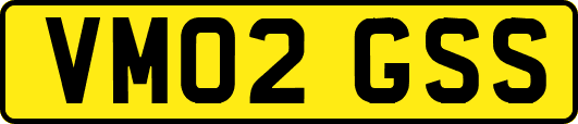 VM02GSS