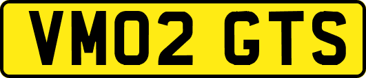 VM02GTS