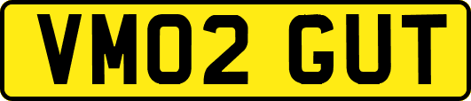 VM02GUT