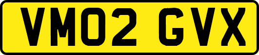 VM02GVX