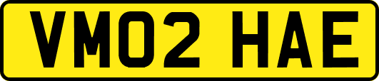 VM02HAE
