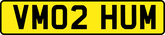 VM02HUM