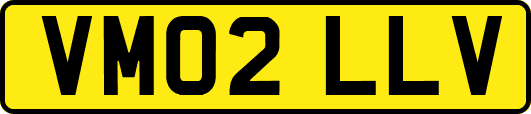 VM02LLV