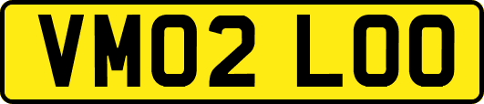 VM02LOO