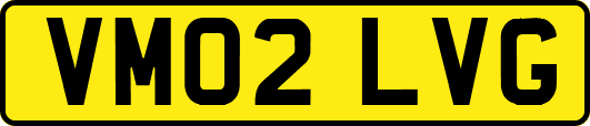 VM02LVG