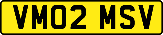 VM02MSV