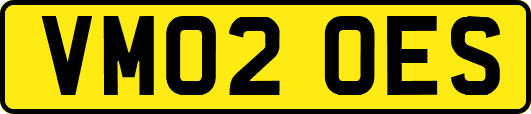 VM02OES