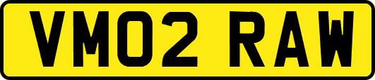 VM02RAW