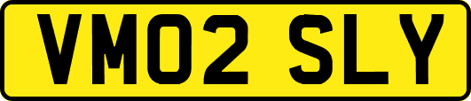 VM02SLY
