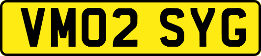 VM02SYG