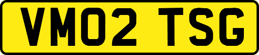 VM02TSG