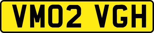 VM02VGH