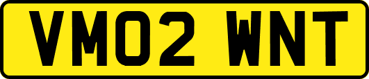 VM02WNT