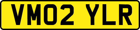 VM02YLR