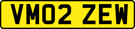 VM02ZEW