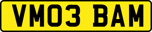 VM03BAM