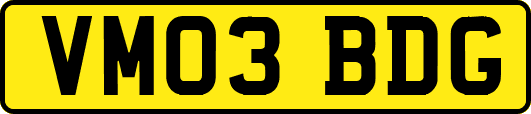 VM03BDG