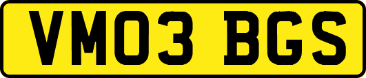 VM03BGS
