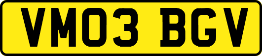 VM03BGV