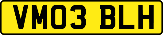 VM03BLH