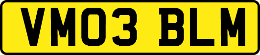 VM03BLM
