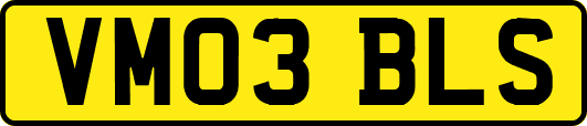 VM03BLS