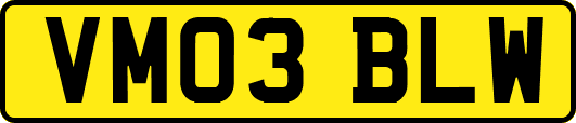 VM03BLW