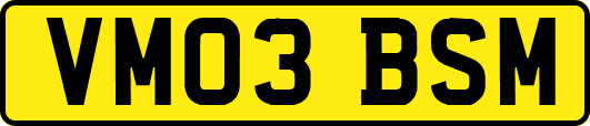 VM03BSM