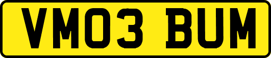 VM03BUM