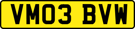 VM03BVW