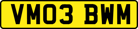 VM03BWM