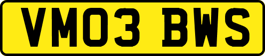 VM03BWS
