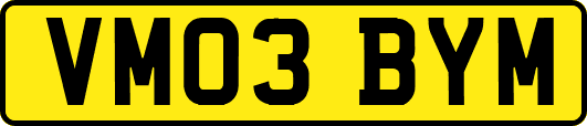 VM03BYM