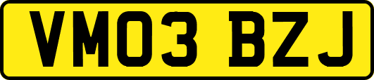VM03BZJ