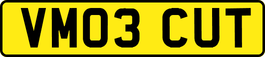 VM03CUT