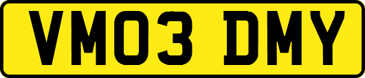 VM03DMY