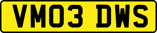 VM03DWS