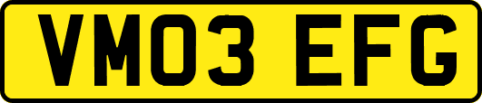 VM03EFG
