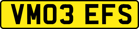 VM03EFS