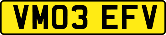 VM03EFV