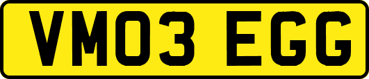 VM03EGG