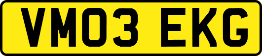 VM03EKG