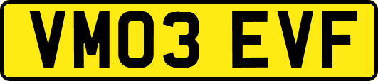 VM03EVF